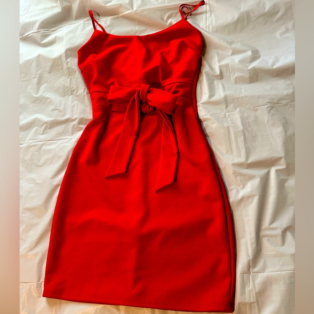 Reckless hearts dress